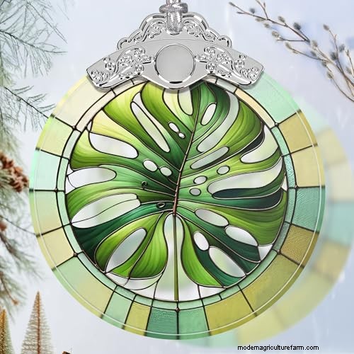 12 prachtige Monstera Suncatchers om je huis op te fleuren 