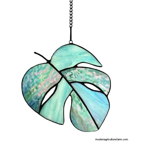12 prachtige Monstera Suncatchers om je huis op te fleuren 