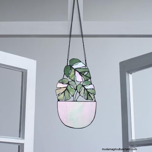 12 prachtige Monstera Suncatchers om je huis op te fleuren 