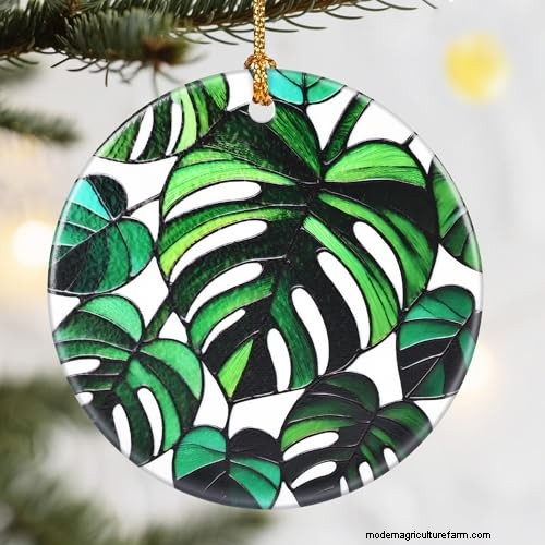 12 prachtige Monstera Suncatchers om je huis op te fleuren 