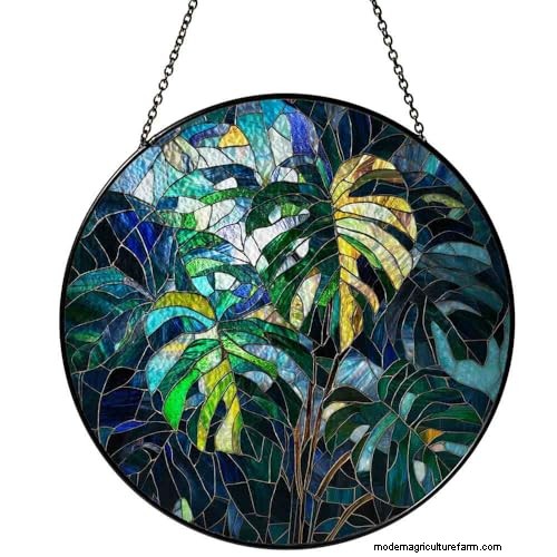 12 prachtige Monstera Suncatchers om je huis op te fleuren 
