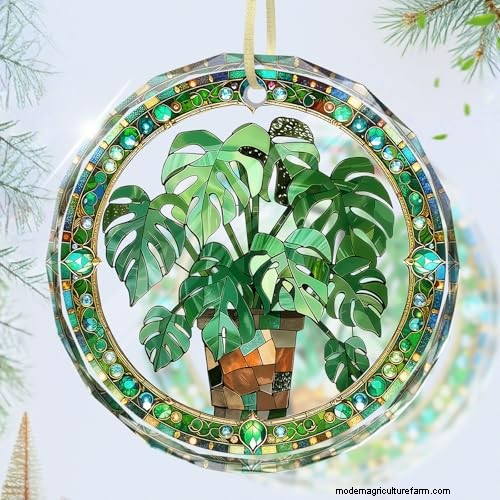 12 prachtige Monstera Suncatchers om je huis op te fleuren 