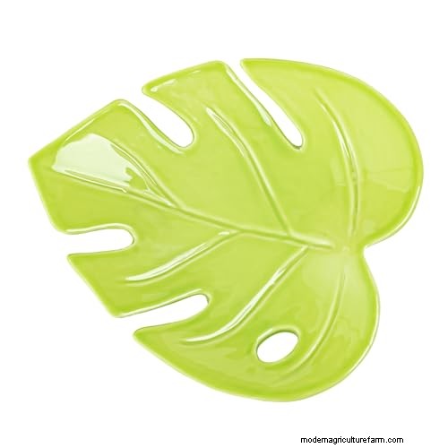 12 prachtige Monstera Suncatchers om je huis op te fleuren 