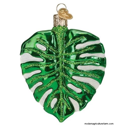 12 prachtige Monstera Suncatchers om je huis op te fleuren 