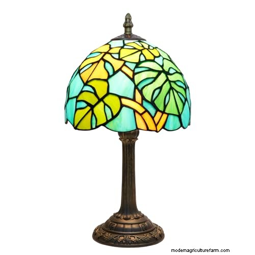12 prachtige Monstera Suncatchers om je huis op te fleuren 