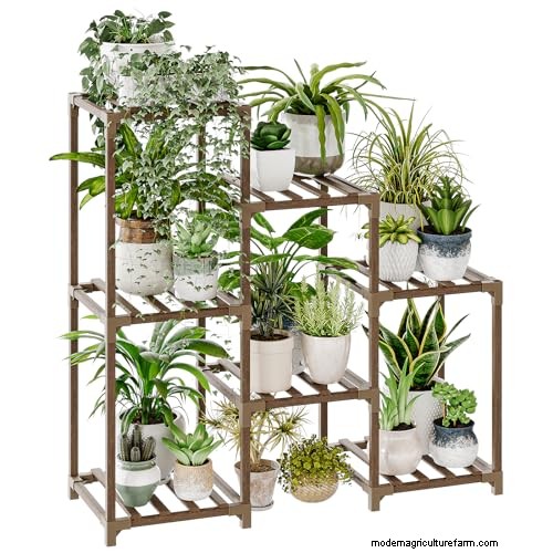 植物を守る:冬によくある管理上の 15 の間違い (およびその修正方法) 