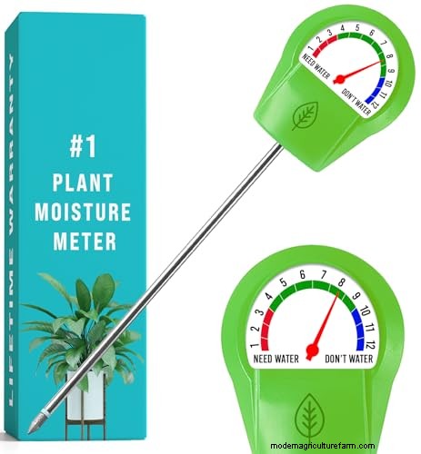 植物を守る:冬によくある管理上の 15 の間違い (およびその修正方法) 