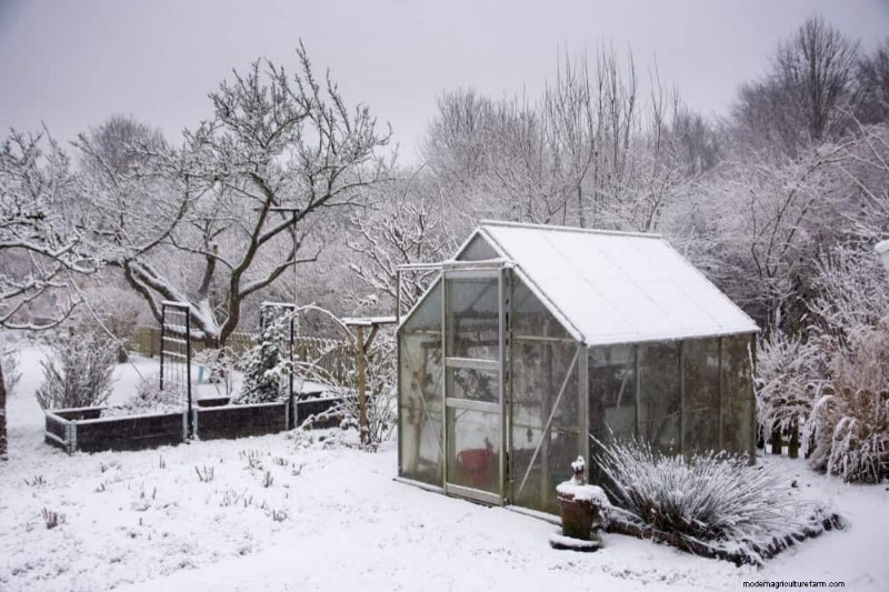 Wintertuinverzorging:deskundige tips om uw planten te beschermen 