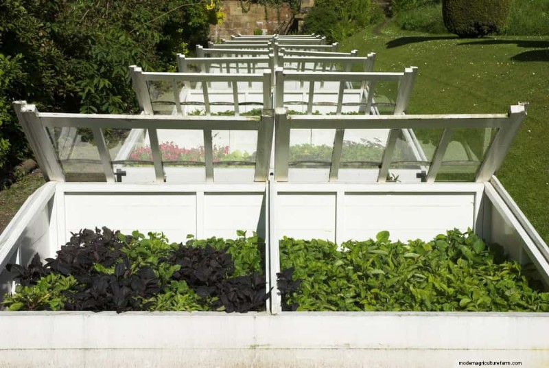 Wintertuinverzorging:deskundige tips om uw planten te beschermen 