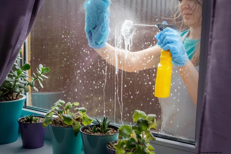 この冬、観葉植物を守る:重要な準備ステップ 
