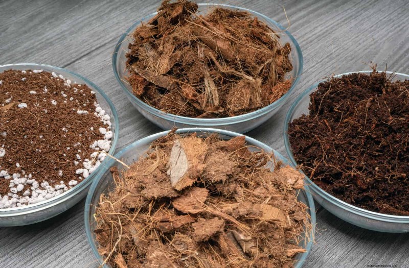 Beste bodemmengsels voor zomertuinen:16 bewezen recepten 
