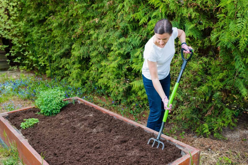 Beste bodemmengsels voor zomertuinen:16 bewezen recepten 
