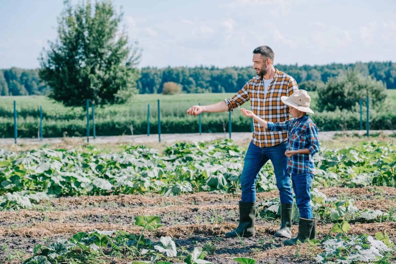 Schnell wachsende Samen für Kinder:Lustige Gartenprojekte, bevor der Sommer zu Ende geht 