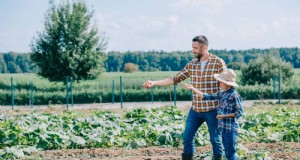 Semi a crescita rapida per bambini:divertenti progetti di giardinaggio prima della fine dell estate 