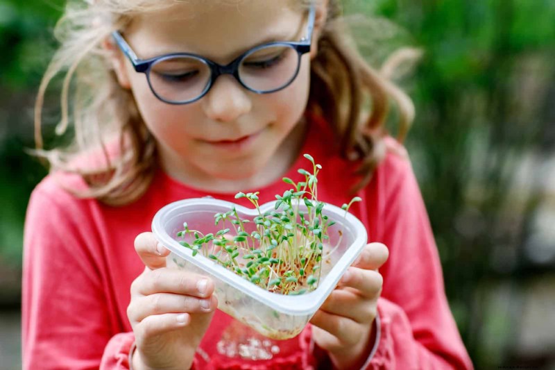 Schnell wachsende Samen für Kinder:Lustige Gartenprojekte, bevor der Sommer zu Ende geht 