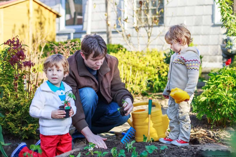 Schnell wachsende Samen für Kinder:Lustige Gartenprojekte, bevor der Sommer zu Ende geht 