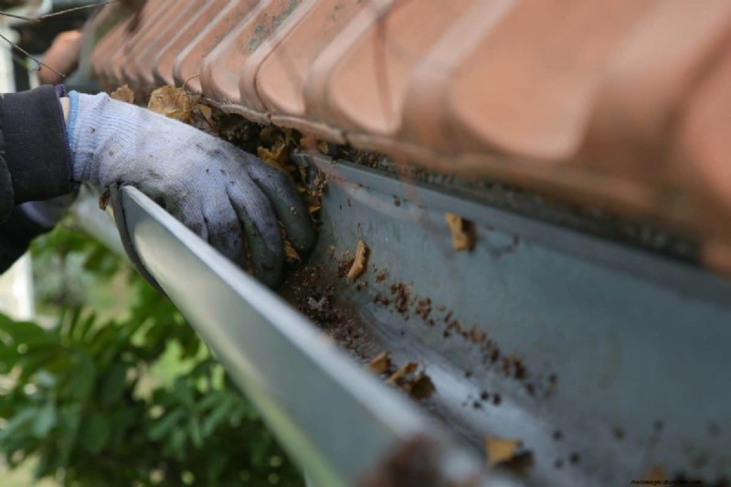 Muggenmagneet:13 achtertuinfuncties en eenvoudige oplossingen 