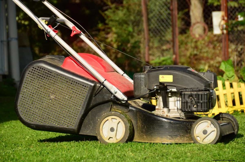 Muggenmagneet:13 achtertuinfuncties en eenvoudige oplossingen 