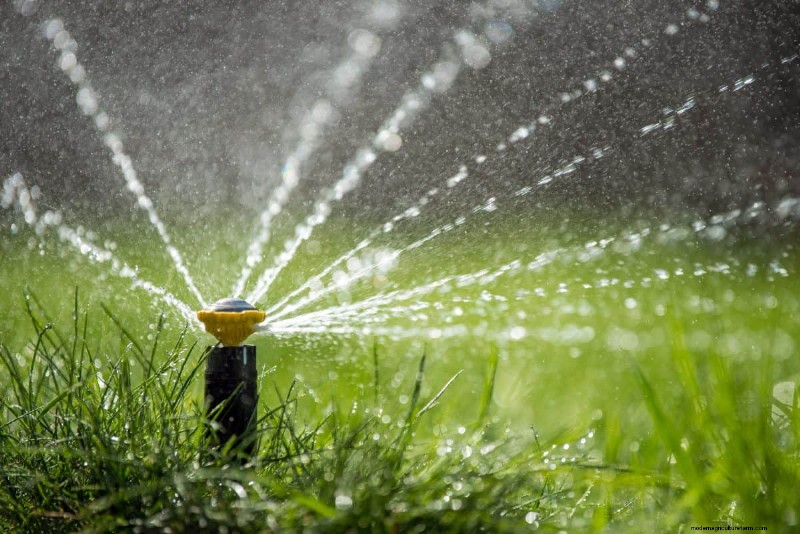 Muggenmagneet:13 achtertuinfuncties en eenvoudige oplossingen 