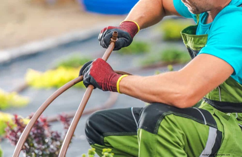 Muggenmagneet:13 achtertuinfuncties en eenvoudige oplossingen 