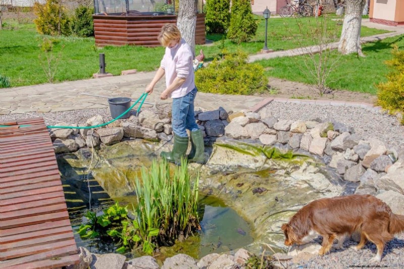 Muggenmagneet:13 achtertuinfuncties en eenvoudige oplossingen 