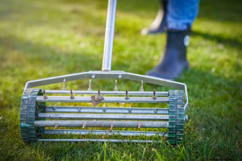 Reviva su césped:14 trucos de rescate de finales de verano para un jardín de otoño saludable 