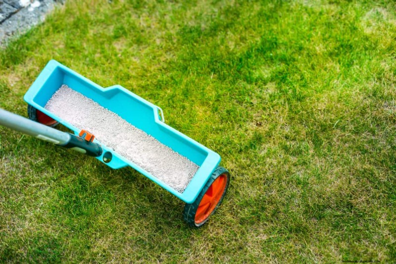 Reviva su césped:14 trucos de rescate de finales de verano para un jardín de otoño saludable 
