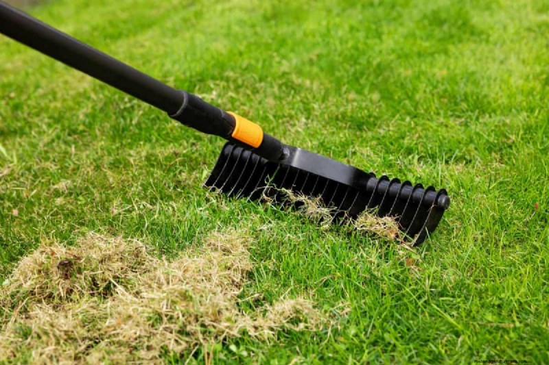 Reviva su césped:14 trucos de rescate de finales de verano para un jardín de otoño saludable 