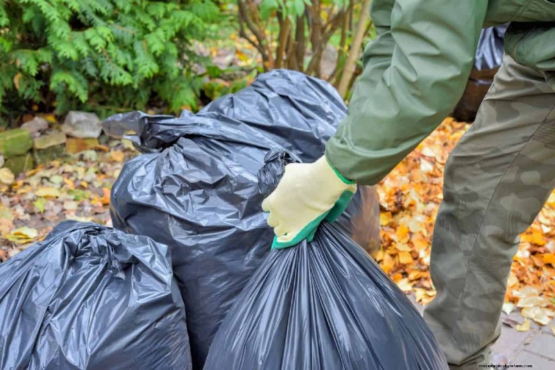Entfernen invasiver Pflanzen, die Grundstücksgrenzen überschreiten:Ihre gesetzlichen Rechte 