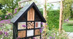 Regeneratief tuinieren:13 creatieve ideeën voor afvalrecycling voor een bloeiende tuin 