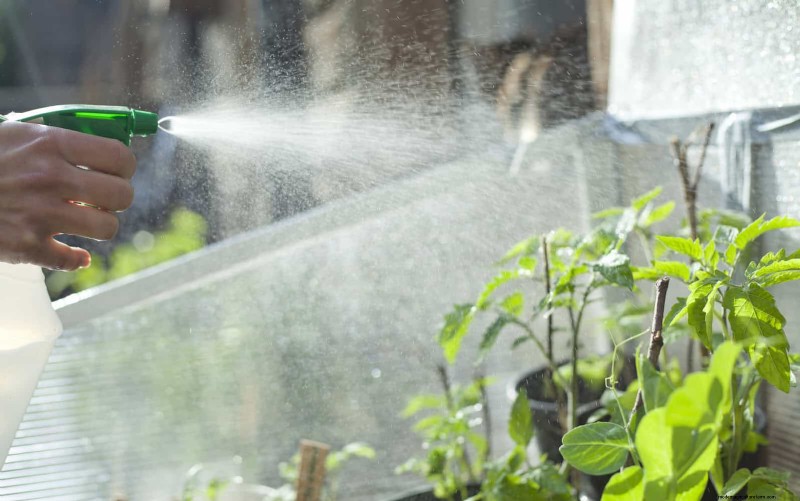 Giardinaggio rigenerativo:13 idee creative per il riciclaggio dei rifiuti per un giardino fiorente 