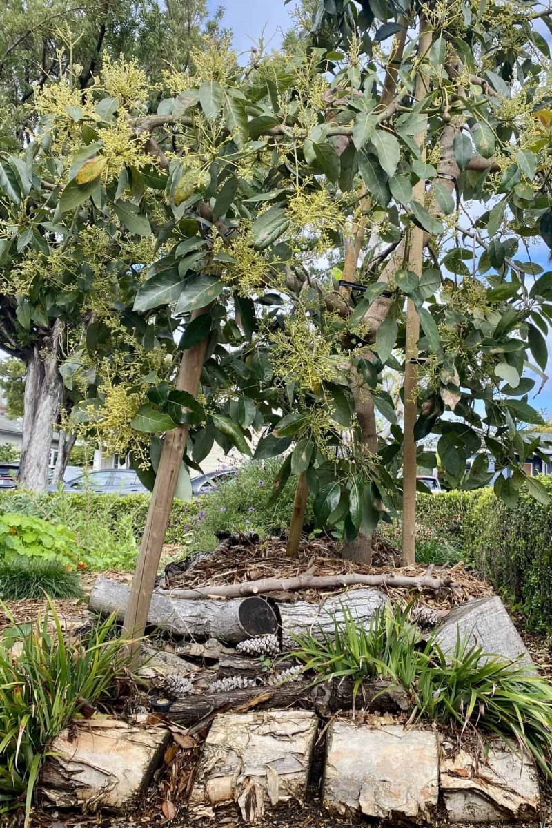Giardinaggio rigenerativo:13 idee creative per il riciclaggio dei rifiuti per un giardino fiorente 