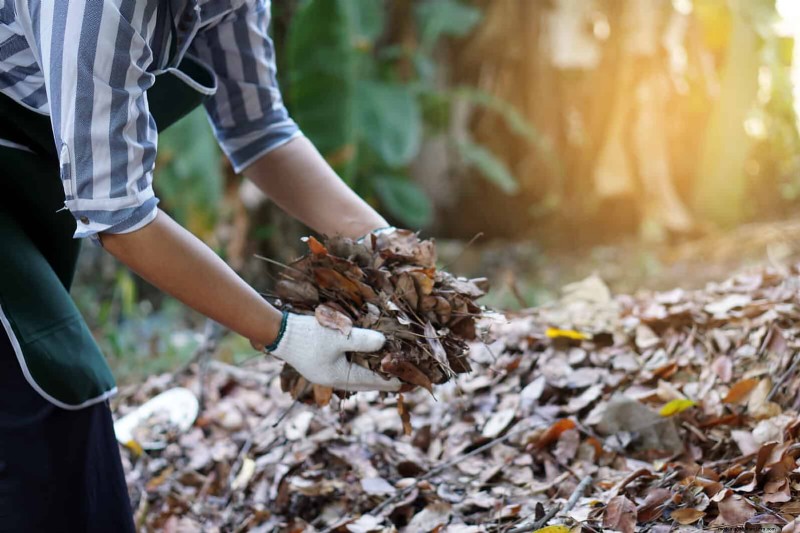 Giardinaggio rigenerativo:13 idee creative per il riciclaggio dei rifiuti per un giardino fiorente 