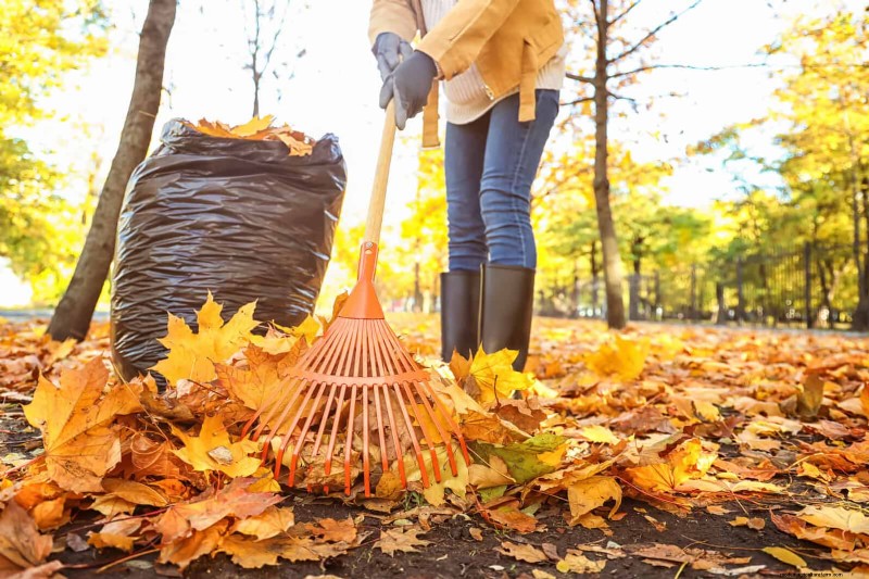 Giardinaggio rigenerativo:13 idee creative per il riciclaggio dei rifiuti per un giardino fiorente 