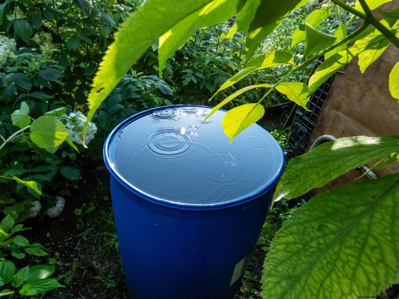 Giardinaggio rigenerativo:13 idee creative per il riciclaggio dei rifiuti per un giardino fiorente 