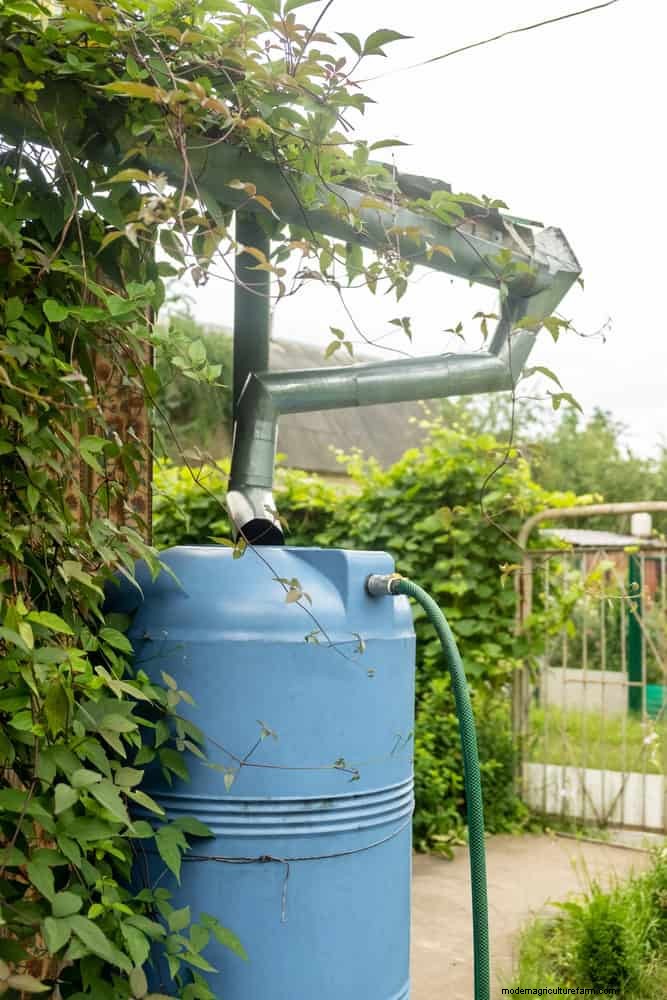 Giardinaggio rigenerativo:13 idee creative per il riciclaggio dei rifiuti per un giardino fiorente 