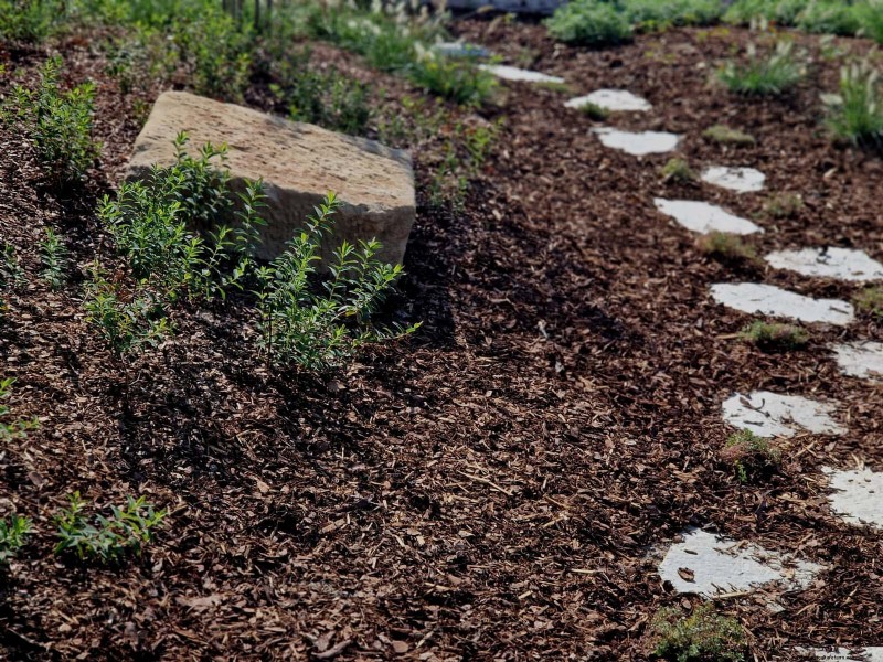 Giardinaggio rigenerativo:13 idee creative per il riciclaggio dei rifiuti per un giardino fiorente 