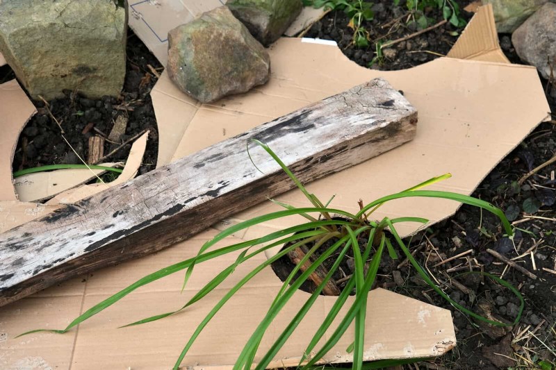 Giardinaggio rigenerativo:13 idee creative per il riciclaggio dei rifiuti per un giardino fiorente 