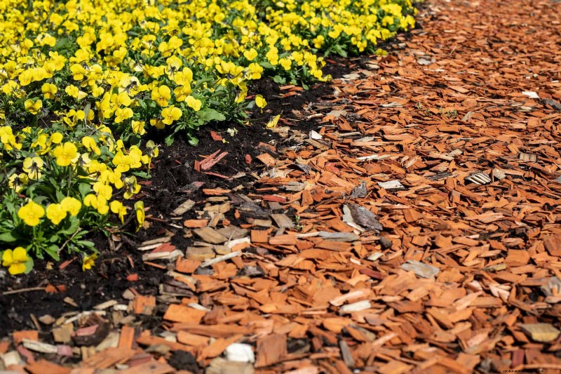 Giardinaggio rigenerativo:13 idee creative per il riciclaggio dei rifiuti per un giardino fiorente 