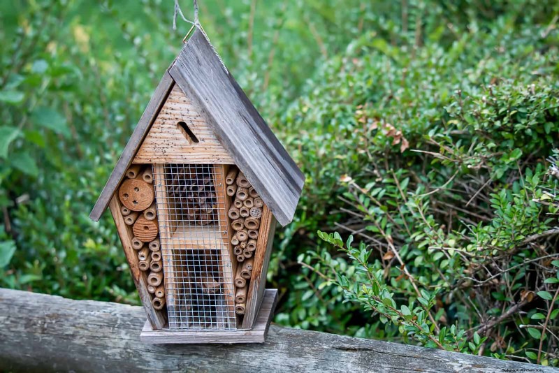 Giardinaggio rigenerativo:13 idee creative per il riciclaggio dei rifiuti per un giardino fiorente 