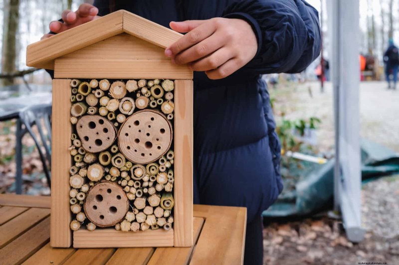 Giardinaggio rigenerativo:13 idee creative per il riciclaggio dei rifiuti per un giardino fiorente 