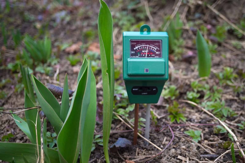 Estresse térmico na planta:reconhecendo e respondendo aos danos das ondas de calor