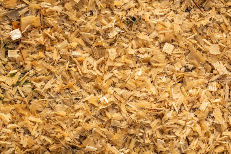 Estresse térmico na planta:reconhecendo e respondendo aos danos das ondas de calor