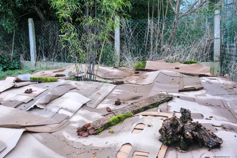 Jardinería sin excavación:15 ideas para un suelo sano y tranquilo 