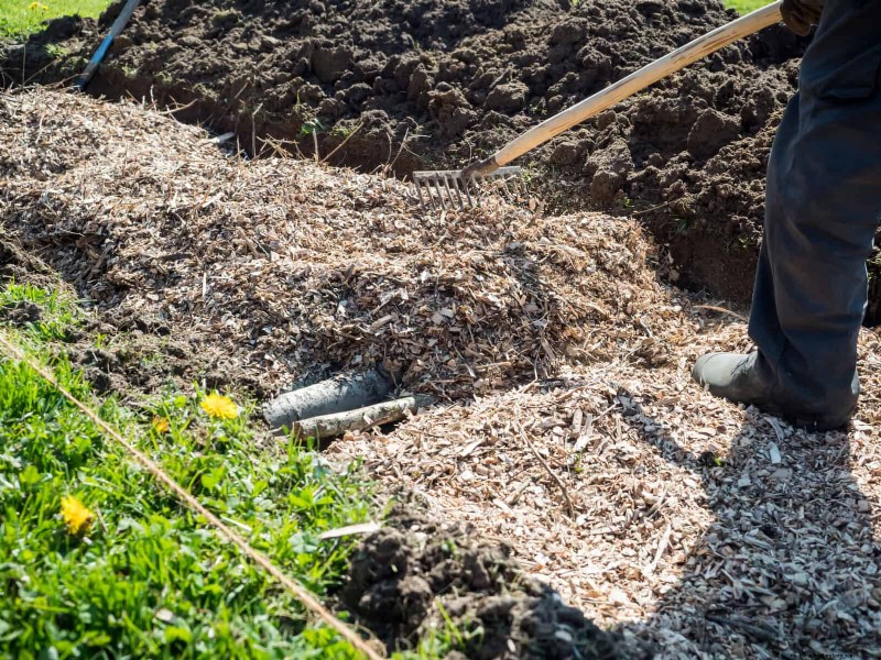 Jardinería sin excavación:15 ideas para un suelo sano y tranquilo 
