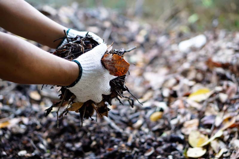 Jardinería sin excavación:15 ideas para un suelo sano y tranquilo 