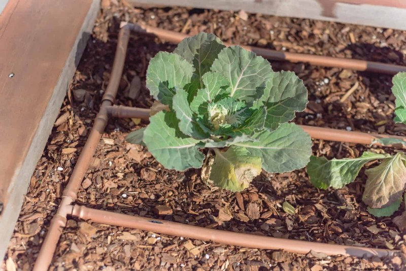 Jardinería sin excavación:15 ideas para un suelo sano y tranquilo 
