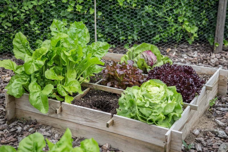 Jardinería sin excavación:15 ideas para un suelo sano y tranquilo 