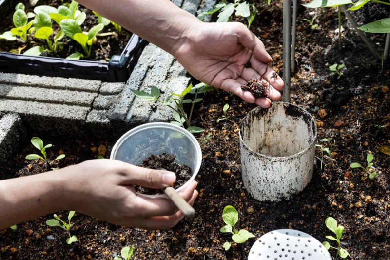 Jardinería sin excavación:15 ideas para un suelo sano y tranquilo 