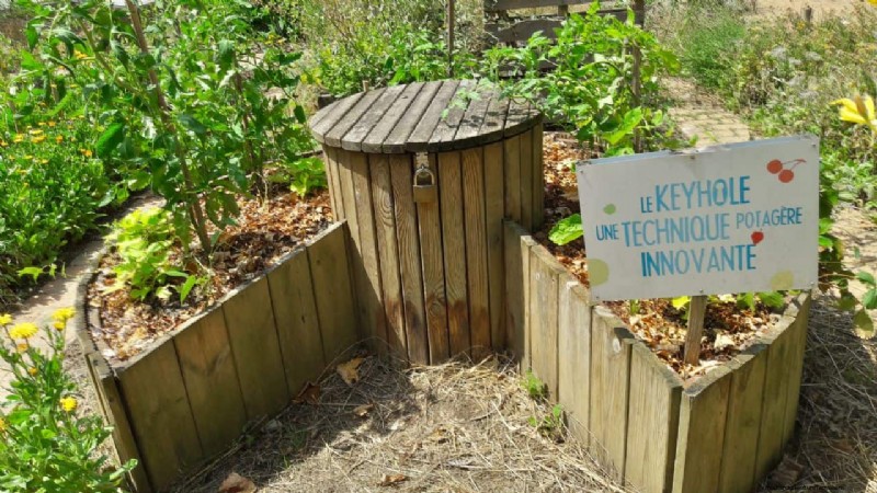 Jardinería sin excavación:15 ideas para un suelo sano y tranquilo 